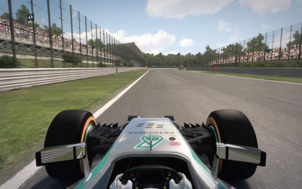 F1 2014 (Screenshot: Golem.de)